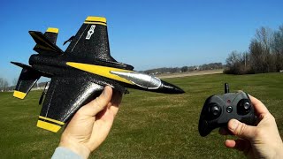 Flybear FX635 Minator Gyro Stabilized RC Airplane Flight Test Review [upl. by Ramu]