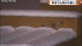 東京では今季4度目の雪 宇都宮は積雪2センチ（100212） [upl. by Almena755]