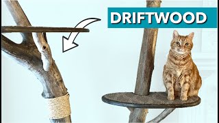 Ultimate DIY Cat ‘Tree’ [upl. by Vtarj30]