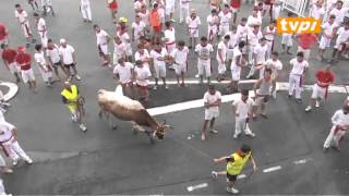 Fêtes de Bayonne 2013 Courses de vaches [upl. by Auhs]