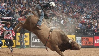 Bulls That Have WRECKED The Most Riders Top 3 Buckoff Streaks Right Now  2019 [upl. by Bray44]