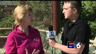 Helping Condors survive at the World Center for Birds of Prey [upl. by Kifar]