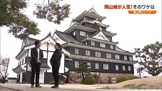 岡山城が「全国ランキング５位」に 人気の秘密を探ってみると…【急上昇ニュース 岡山】 240207 1830 [upl. by Atekal]