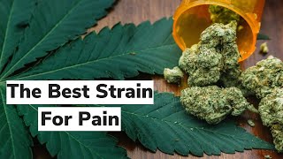 Find Your Best Strain for Pain  Discover Marijuana [upl. by Allred]