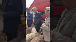 A large bazaar in Xinjiang China Living conditions of Uighurs in Xinjiang [upl. by Millisent]