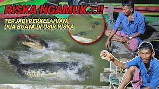 Riska ngamuk‼️Terjadi perkelahian didepan matadua buaya jahat di usir riska [upl. by Landry481]