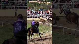 Pendleton Round Up ❣️ rodeo Indian races Day 4 2024 pendletonroundup [upl. by Araik]