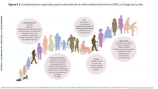 Guía KDIGO 2023 de la Enfermedad Renal Crónica  Luis Figueroa [upl. by Qiratla]