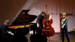 Allemano Kaufmann Weber  Live at Jazzatelier Ulrichsberg Austria 20140330  Part1 [upl. by Nanaj]