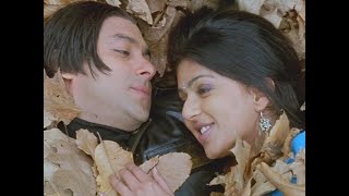 Tere Naam Movie All Songs  Bollywood Hits Songs  Salman Khan amp Bhumika Chawla Ayesha Jhulka songs [upl. by Felicidad]