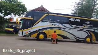 Telolet bus Damai lagu marsha and the bear [upl. by Vidal721]