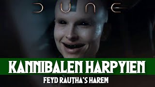 Kannibalen Harpyien  Feyd Rautha Harkonnens Harem aus Dune erklärt [upl. by Rugg296]