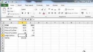 How to Make Excel 2010 formulas calculate automatically [upl. by Axia]