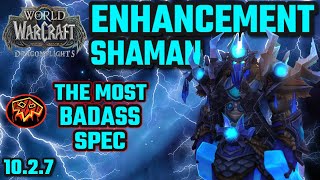 BEST OF Enhancement Shaman 1027 Dragonflights [upl. by Hughie]