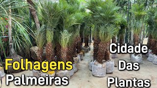 Plantas em oferta  Maio 2024 [upl. by Aleyam557]