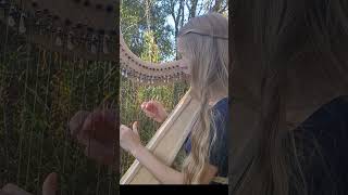 Archibald MacDonald of Keppoch Celtic Harp shorts harp scottishmusic celticharp harpcover [upl. by Jeremiah]