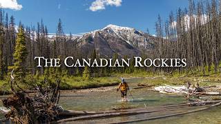 Solo Hiking in the Canadian Rockies Wilderness for 6 Days [upl. by Nanreit]