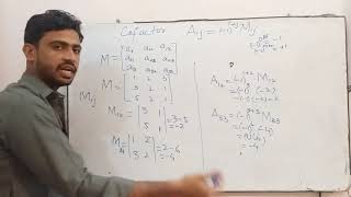 Minor and Cofactors of any Matrix  UrduHindi [upl. by Aihsetal218]