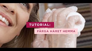 Färga håret hemma med Excellence  Tutorial  L’Oréal Paris [upl. by Idaf]