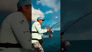 Jigging Maldives zenaq ikari kingstonfishing monsterfish bigfish fishing [upl. by Goer]