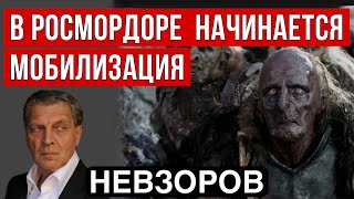 Всеобщая мобилизация Как в России будут отнимать имущество Белоусов любовницы и религиозность [upl. by Helyn]