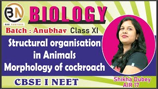 STRUCTURAL ORGANISATION IN ANIMALSMORPHOLOGY OF COCKROACH CLASS XI BIOLOGY NEET 2025 ANUBHAV [upl. by Xila]