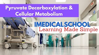 Pyruvate Decarboxylation  Cellular Metabolism Made Simple [upl. by Ynabla]