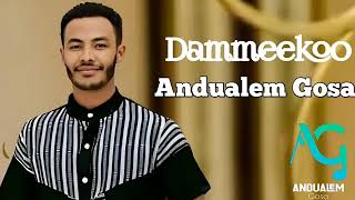 Andualem Gosaa DAMMEE KOO New Ethiopian Oromo Music 2024 [upl. by Dee Dee629]