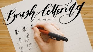 How to Calligraphy amp Brush Lettering Guide for Beginners  Free Calligraphy Practice Sheets [upl. by Lebazej]