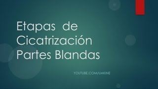 Etapas de la Cicatrizacion de partes blandas [upl. by Xanthus]