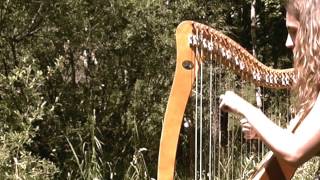 Brian Borus March Celtic Harp Traditional Irish Music [upl. by Amalburga]