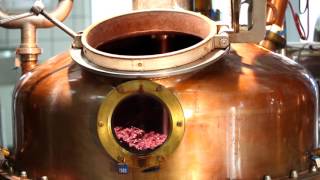 Distillazione vinacce di Amarone  Distilleria Marzadro [upl. by Truelove]