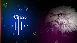 ALFA  AZERI BASS SONG  TikTok  trend olan mahni AZERI BASS MUSIC ALFA [upl. by Hjerpe]