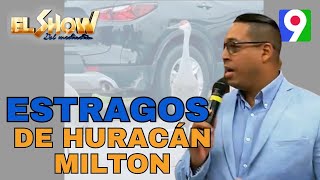 Animales avisan de los estragos de Huracán Milton  El Show del Mediodía [upl. by Gniw]