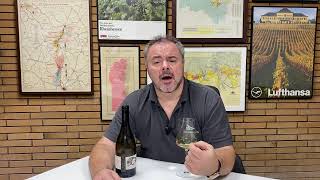 Wine Review Thomas Pico Domaine Pattes Loup Chablis Premier Butteaux 2019 [upl. by Amled]