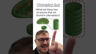 Chloroplasts Quiz [upl. by Alleira721]