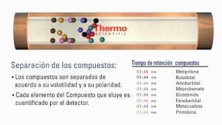 Spanish  How GC Columns Work [upl. by Kauppi]