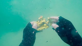 🌊💍 FOUND Underwater Metal Detecting on the Azov Sea [upl. by Alym529]