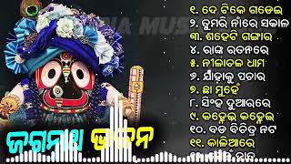 Odia Jagannath Bhajan  Odia Bhajan Hits  New Collection Goinv  Best Jagannath Bhajan 2024 [upl. by Nellak]