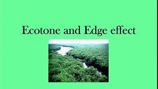 Ecotone and Edge effect  envirocademy [upl. by Rocher29]