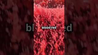 Blood Falls Antarcticas Eerie Red Waterfall Explained [upl. by Pentha]