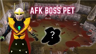 This NEW Item Let Me AFK a Boss Pet on OSRS [upl. by Tomkins440]