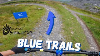 ALL BLUE TRAILS  MTB Antur Stiniog Bike Park [upl. by Wilkins]