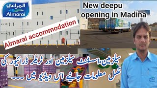 Almarai jobs complete information  New deepu open in Madina almarai accommodation [upl. by Sadella]