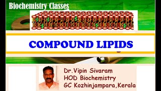 Compound Lipids [upl. by Dinny]