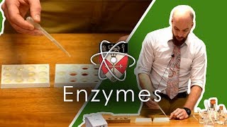 Enzymes  GCSE Science Required Practical [upl. by Valery]