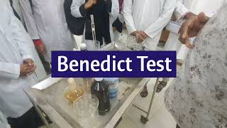 Benedicts Test Bangla  Biochemistry OSPE  Pathology  Physiology  Practical [upl. by Pimbley]