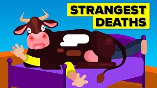 Strangest Ways People Died [upl. by O'Kelly]