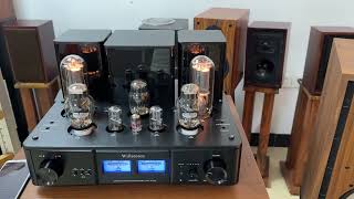 Willsenton R800i 300B 805 tube amplifier demo with PAIYON P420 speakers [upl. by Torruella757]