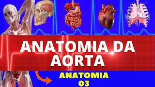 ANATOMIA DA AORTA ARCO DA AORTA AORTA TORÁCICA E AORTA ABDOMINAL ANATOMIA COMPLETA DA AORTA [upl. by Attolrahc]